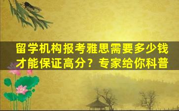 留学机构报考雅思需要多少钱才能保证高分？专家给你科普