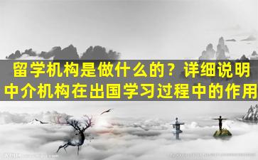 留学机构是做什么的？详细说明中介机构在出国学习过程中的作用