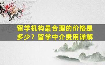 留学机构最合理的价格是多少？留学中介费用详解