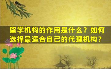 留学机构的作用是什么？如何选择最适合自己的代理机构？