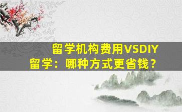 留学机构费用VSDIY留学：哪种方式更省钱？