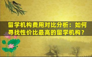 留学机构费用对比分析：如何寻找性价比最高的留学机构？