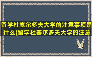 留学杜塞尔多夫大学的注意事项是什么(留学杜塞尔多夫大学的注意事项)