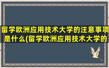 留学欧洲应用技术大学的注意事项是什么(留学欧洲应用技术大学的注意事项)