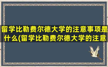 留学比勒费尔德大学的注意事项是什么(留学比勒费尔德大学的注意事项有)