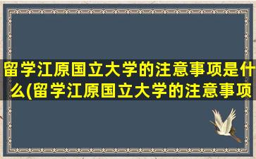 留学江原国立大学的注意事项是什么(留学江原国立大学的注意事项)