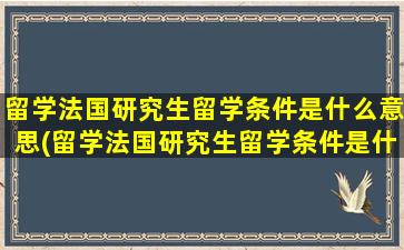 留学法国研究生留学条件是什么意思(留学法国研究生留学条件是什么呢)