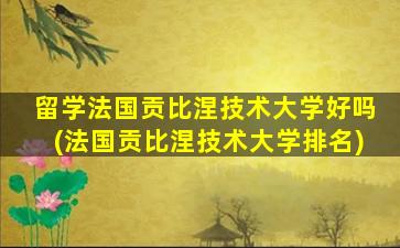 留学法国贡比涅技术大学好吗(法国贡比涅技术大学排名)