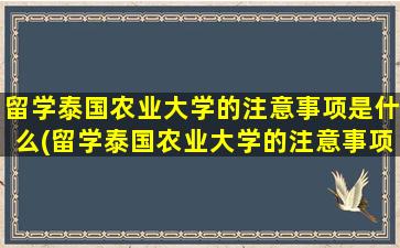 留学泰国农业大学的注意事项是什么(留学泰国农业大学的注意事项)