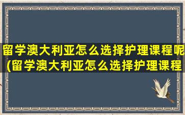 留学澳大利亚怎么选择护理课程呢(留学澳大利亚怎么选择护理课程呢女生)