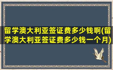 留学澳大利亚签证费多少钱啊(留学澳大利亚签证费多少钱一个月)