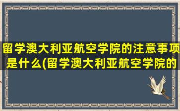 留学澳大利亚航空学院的注意事项是什么(留学澳大利亚航空学院的注意事项)