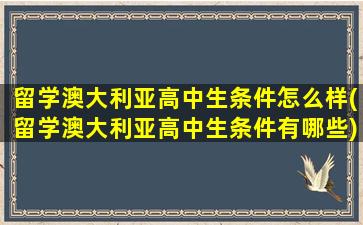 留学澳大利亚高中生条件怎么样(留学澳大利亚高中生条件有哪些)