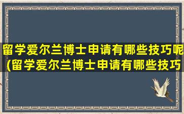 留学爱尔兰博士申请有哪些技巧呢(留学爱尔兰博士申请有哪些技巧和理由)