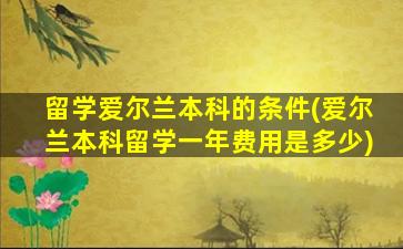 留学爱尔兰本科的条件(爱尔兰本科留学一年费用是多少)