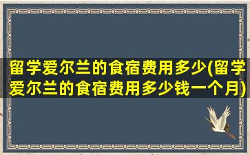 留学爱尔兰的食宿费用多少(留学爱尔兰的食宿费用多少钱一个月)