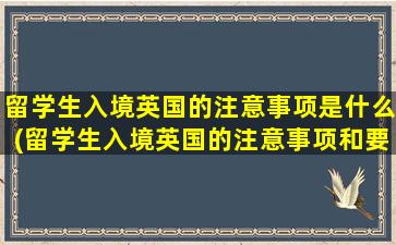 留学生入境英国的注意事项是什么(留学生入境英国的注意事项和要求)