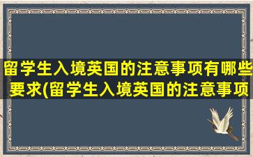 留学生入境英国的注意事项有哪些要求(留学生入境英国的注意事项有哪些英语)