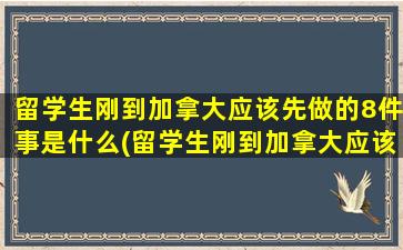 留学生刚到加拿大应该先做的8件事是什么(留学生刚到加拿大应该先做的8件事)