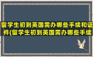 留学生初到英国需办哪些手续和证件(留学生初到英国需办哪些手续和条件)