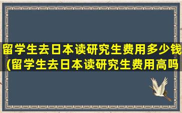 留学生去日本读研究生费用多少钱(留学生去日本读研究生费用高吗)