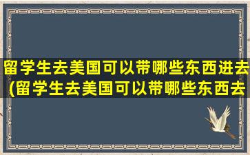 留学生去美国可以带哪些东西进去(留学生去美国可以带哪些东西去)