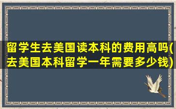 留学生去美国读本科的费用高吗(去美国本科留学一年需要多少钱)