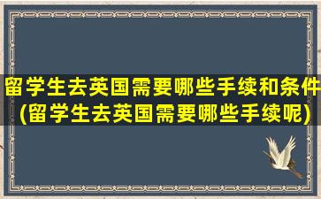 留学生去英国需要哪些手续和条件(留学生去英国需要哪些手续呢)