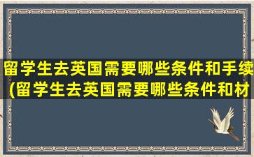 留学生去英国需要哪些条件和手续(留学生去英国需要哪些条件和材料)