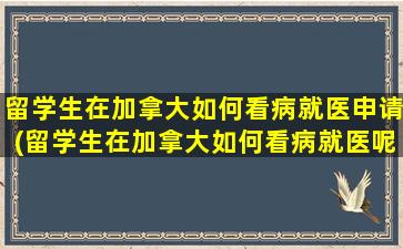 留学生在加拿大如何看病就医申请(留学生在加拿大如何看病就医呢)