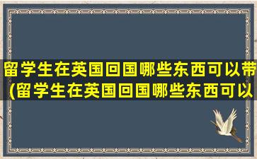 留学生在英国回国哪些东西可以带(留学生在英国回国哪些东西可以带走)