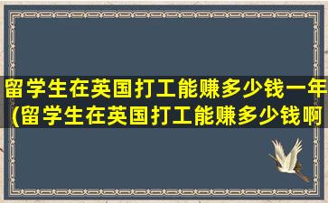 留学生在英国打工能赚多少钱一年(留学生在英国打工能赚多少钱啊)