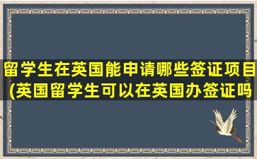 留学生在英国能申请哪些签证项目(英国留学生可以在英国办签证吗-)