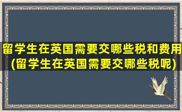 留学生在英国需要交哪些税和费用(留学生在英国需要交哪些税呢)