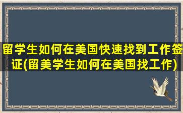 留学生如何在美国快速找到工作签证(留美学生如何在美国找工作)