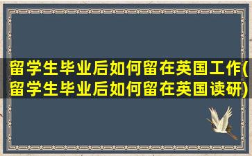 留学生毕业后如何留在英国工作(留学生毕业后如何留在英国读研)