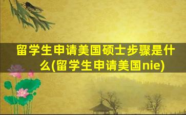 留学生申请美国硕士步骤是什么(留学生申请美国nie)