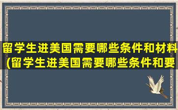 留学生进美国需要哪些条件和材料(留学生进美国需要哪些条件和要求)