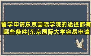 留学申请东京国际学院的途径都有哪些条件(东京国际大学容易申请吗)