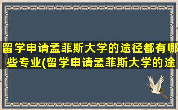 留学申请孟菲斯大学的途径都有哪些专业(留学申请孟菲斯大学的途径都有哪些要求)