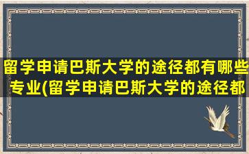 留学申请巴斯大学的途径都有哪些专业(留学申请巴斯大学的途径都有哪些要求)