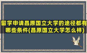 留学申请昌原国立大学的途径都有哪些条件(昌原国立大学怎么样)