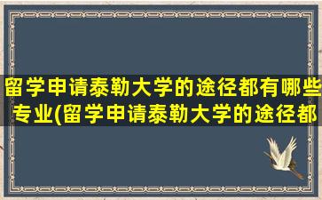 留学申请泰勒大学的途径都有哪些专业(留学申请泰勒大学的途径都有哪些要求)