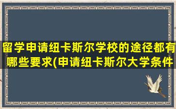 留学申请纽卡斯尔学校的途径都有哪些要求(申请纽卡斯尔大学条件)