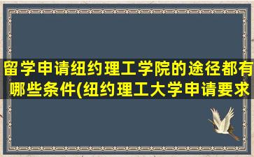 留学申请纽约理工学院的途径都有哪些条件(纽约理工大学申请要求)