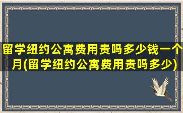 留学纽约公寓费用贵吗多少钱一个月(留学纽约公寓费用贵吗多少)