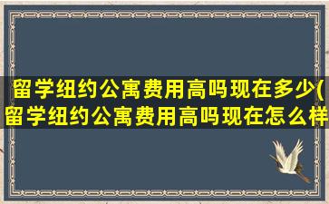 留学纽约公寓费用高吗现在多少(留学纽约公寓费用高吗现在怎么样)