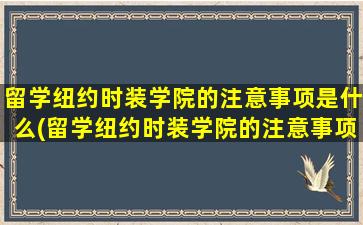 留学纽约时装学院的注意事项是什么(留学纽约时装学院的注意事项)