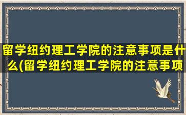 留学纽约理工学院的注意事项是什么(留学纽约理工学院的注意事项)