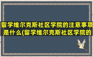 留学维尔克斯社区学院的注意事项是什么(留学维尔克斯社区学院的注意事项)